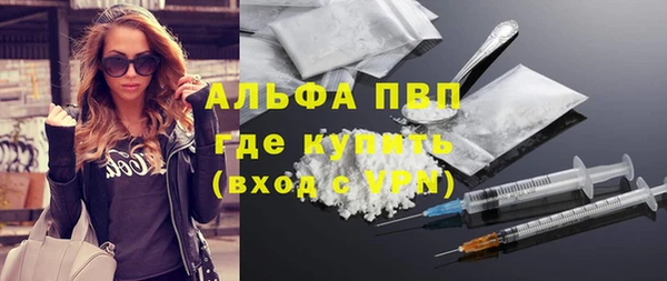 гашик Алексин