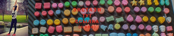 гашик Алексин