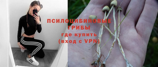 гашик Алексин