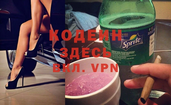 гашик Алексин