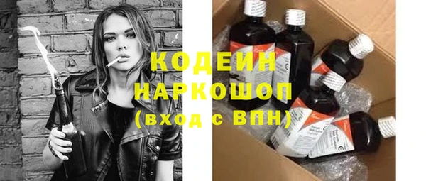 гашик Алексин