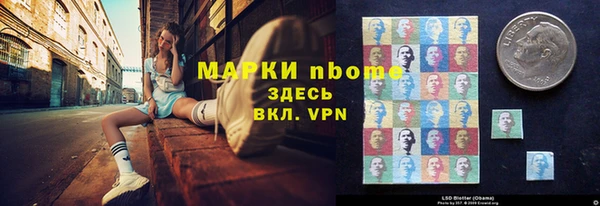 гашик Алексин