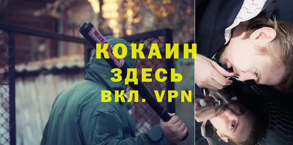 гашик Алексин